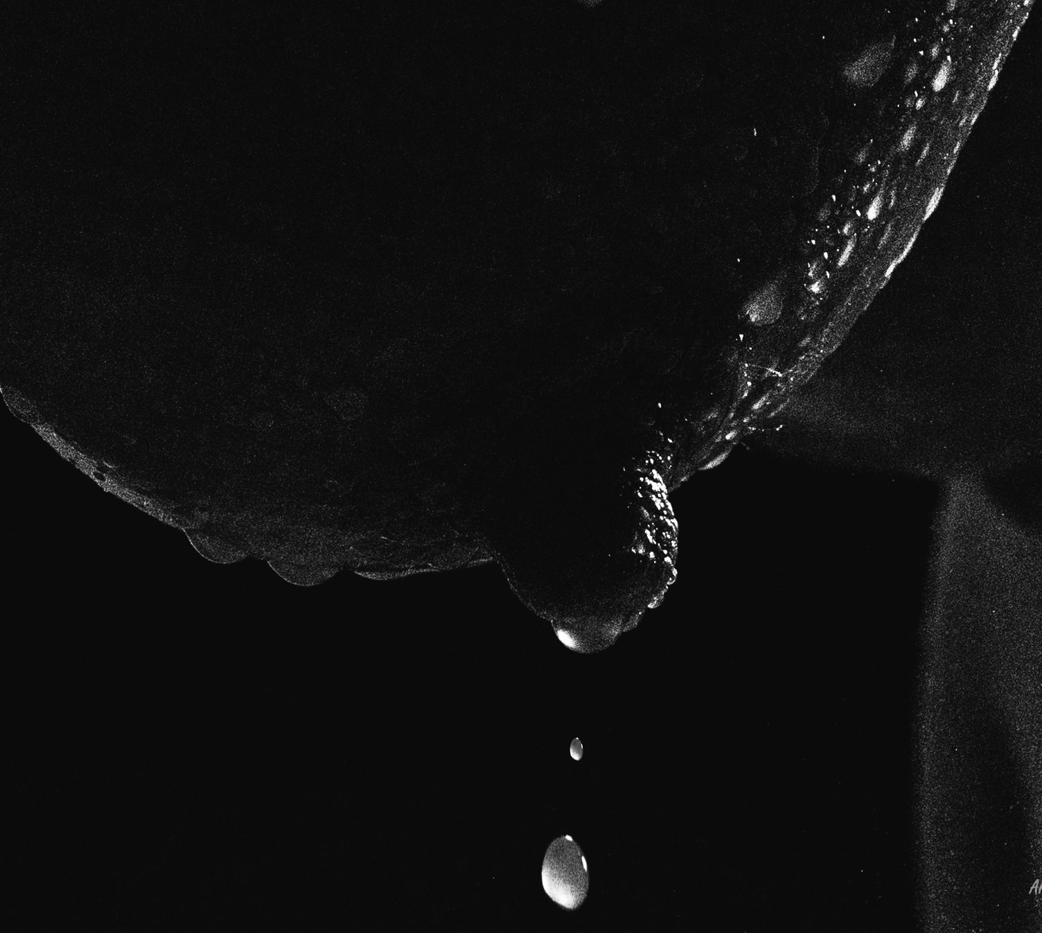 Escorts in Uganda-premium Escorts